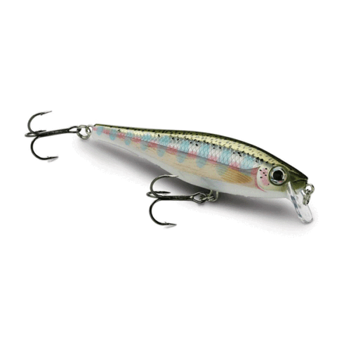 Rapala BX Minnow 07