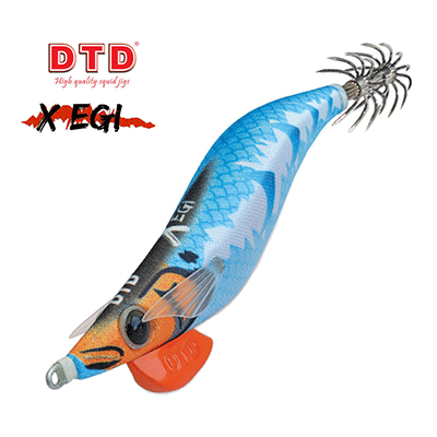 DTD X EGI 3.0