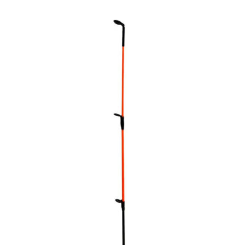 Ragot Scion Buscle 4mm/60cm