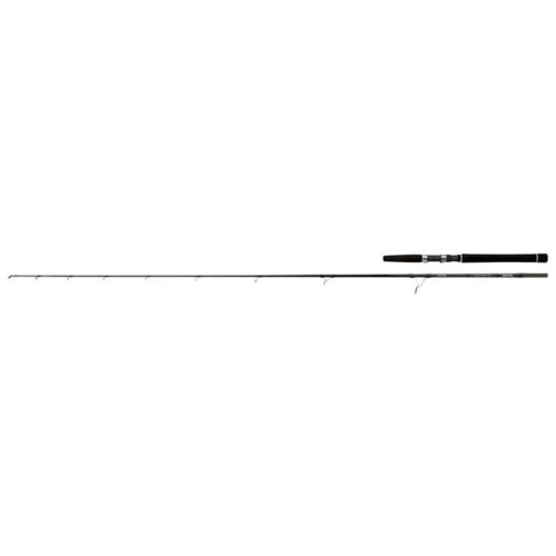 Daiwa Saltist Inshore STIN