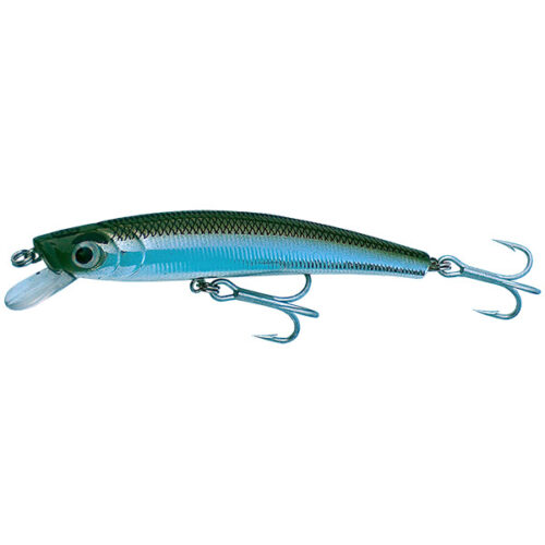 DTD Minnow Gavun 70S