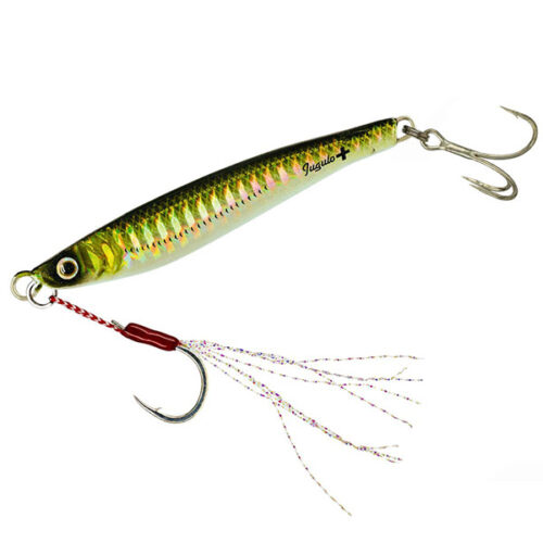 Molix Jugulo Plus Jig 10g