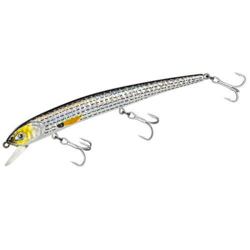 Molix Audace EVO 130SS