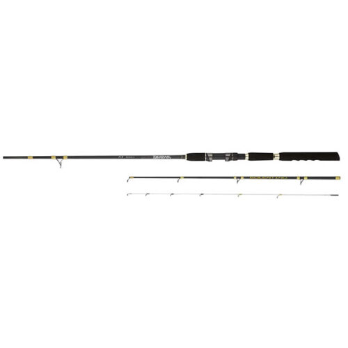 Daiwa 19 NT Bolentino