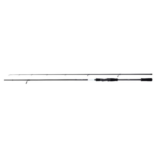 Shimano Bassterra XT+ Sea Bass