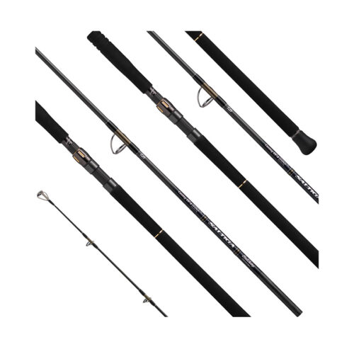 Daiwa Saltiga C BullSwing